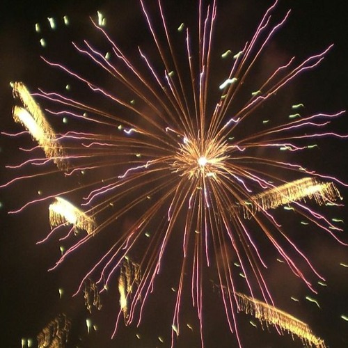 Little Owls & Fireworks: New Year 2021