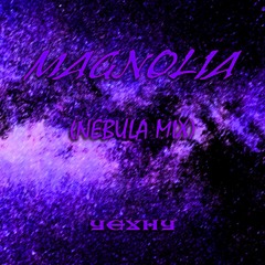 Playboi Carti - Magnolia (Nebula Mix)