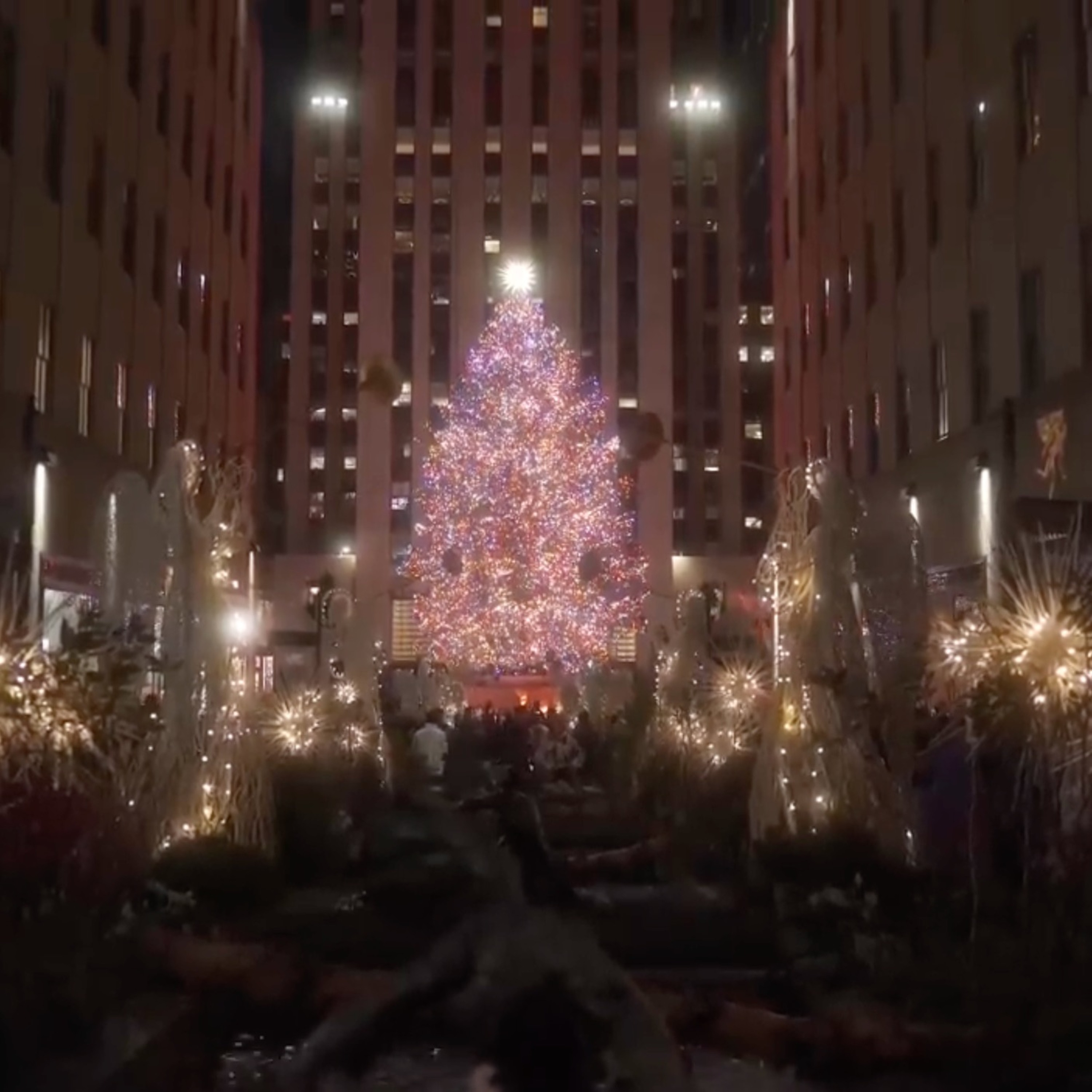 FLAVA'S CHRISTMAS SPICE