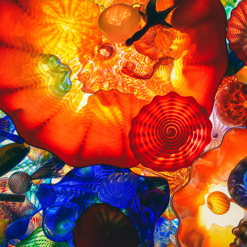 Pure Imagination (Come With Me)