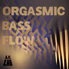Orgasmic Bass Flow