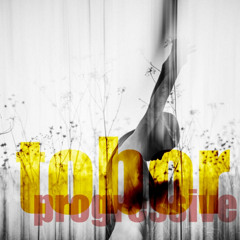 Tobor - progressive