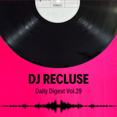 Daily Digest Vol.29 (DNB)