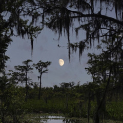 something i had to (acoustc)