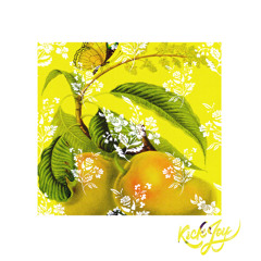 The Dream Merchant - VHS Dream Wave