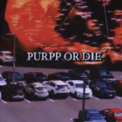PURPPORDIE [prod.Kreestav2]