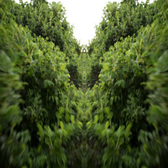 cowboyclicker - jump (prod. gloro)