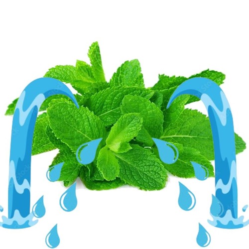 mint tears