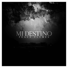 Mi Destino (English Version)
