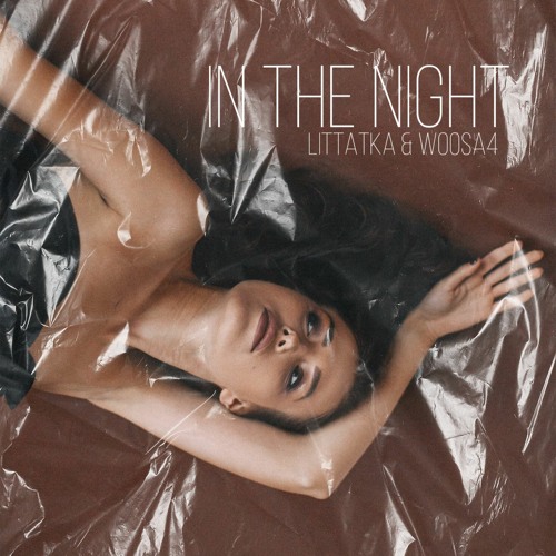 In The Night - Littatka & Woosa4
