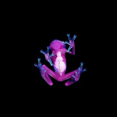 SKRILLEX X BOYS NOIZE - BREAK LAW (JAN TREE REMIX)