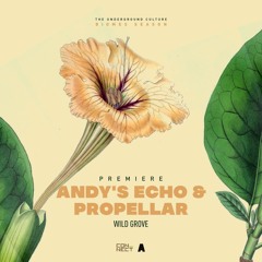 PREMIERE: Andy's Echo & Propellar - Wild Grove [Acker Records]