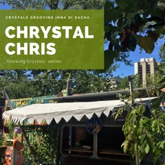 Crystals grooving inna di dacha | Mensch Meier, Berlin | August 2020