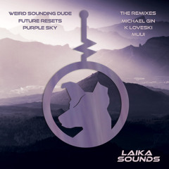 Premiere: Weird Sounding Dude - Purple Sky (MUUI Remix) [LAIKA Sounds]
