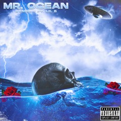 Mr. Ocean Feat. Lil B