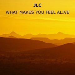 What Makes You Feel Alive