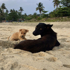 Lee Hazlewood, Nancy Sinatra - Sand