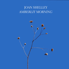 Amberlit Morning (feat. Bill Callahan)