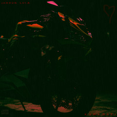 KAWASAKI DANCE MIX