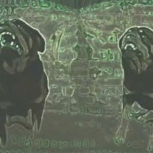 LUCJAN & GENGAR - ROTTWEILER FLOW