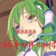 DISS NA FAN AKK