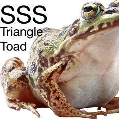 SSS - Triangular toad