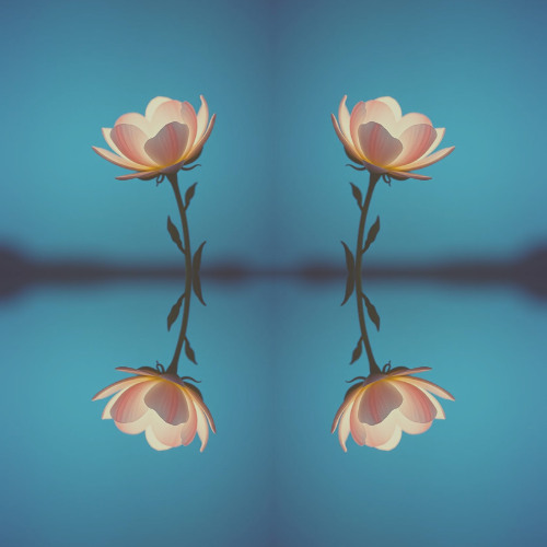 A Love Unfolds