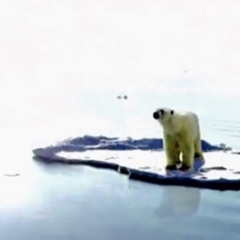 Elizabeth Warner Knight