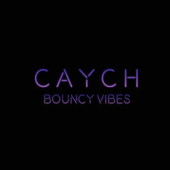 BOUNCY VIBES 24 (DONK MIX)