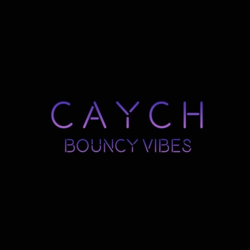 BOUNCY VIBES 24 (DONK MIX)