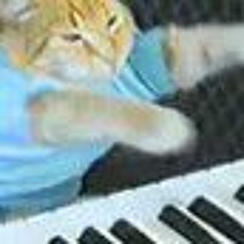 Stream Keyboard cat by Trollge over pain Listen online for free on SoundCloud