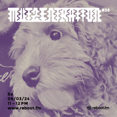 Mutzentration #36 / 09.03.2024 on Reboot.fm