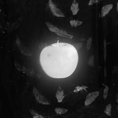 Euthanasia With Liberty...