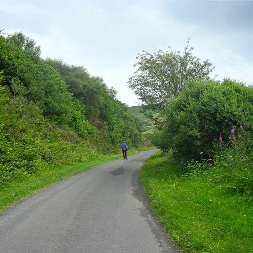 Stream Walking Down A Lonely Road (Song Sketch) by Rick Vines 