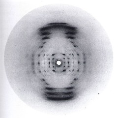 echoed rhythms