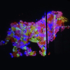 Hakuna Matata