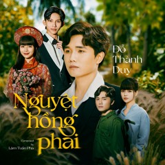 Nguyệt Hồng Phai (Instrumental)