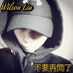 Wilson Liu-不要再問了 (Feat.神秘人)