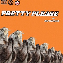 Pretty Please