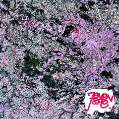 78TRENCHEZ - FELO SKURT, BÉBÉ DEAL, 6ROZE, YVES DES YVELINES