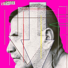 the hunter of vibeS II