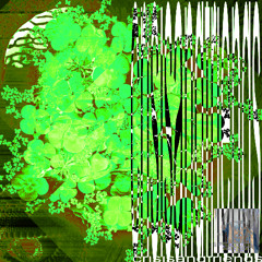 Project_3dmoney