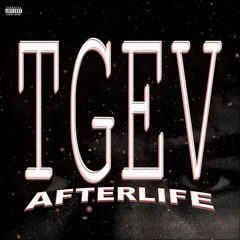 TGEV: AFTERLIFE