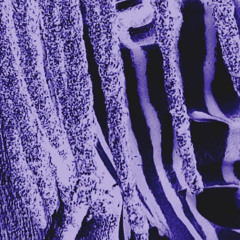 Lost.ip - Ghost Ft VEXN!.prod.Lucidbeats