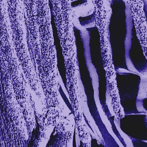 Lost.ip - Ghost Ft VEXN!.prod.Lucidbeats