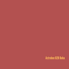 BSM039 Astrobee B2b Buba
