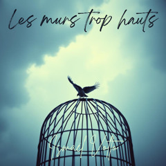 Les murs trop hauts