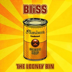 The Looney Bin (Original Mix)