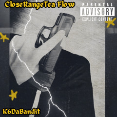 CloseRangeTea Flow