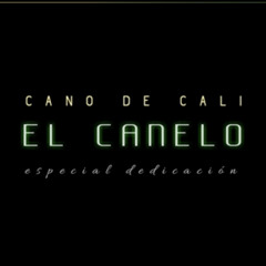 Cano De Cali El Canelo #flowdecali #CanoDeCali